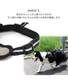 PET PARADISE ヘッドインハーネス  【Ｍ】オレンジ / ブルー 【中型犬 大型犬】