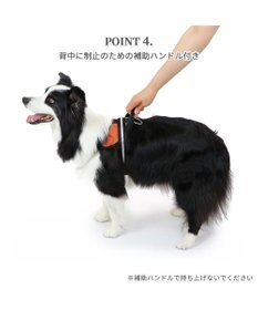 PET PARADISE ヘッドインハーネス  【Ｍ】オレンジ / ブルー 【中型犬 大型犬】