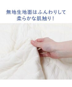 PET PARADISE ペットパラダイス もちっと クール ブランケット 《苺柄》