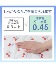 PET PARADISE ペットパラダイス もちっと クール ブランケット 《苺柄》