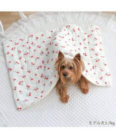 PET PARADISE ペットパラダイス もちっと クール ブランケット 《苺柄》