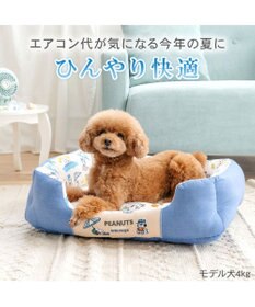 PET PARADISE スヌーピー クール 四角カドラー 《サマーバケーション柄》 Ｍ