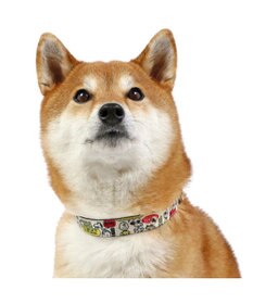 PET PARADISE スヌーピー 首輪  《ペア柄》 Ｌ