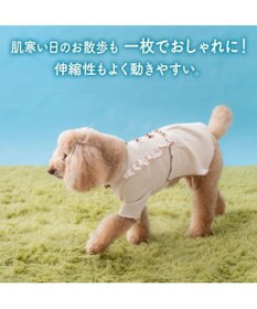 PET PARADISE ペットパラダイス ミニリボン プレミアム ペティヒート ワンピース 小型犬