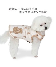 PET PARADISE ペットパラダイス くまちゃん ペティヒート タンクトップ 《お座り》小型犬
