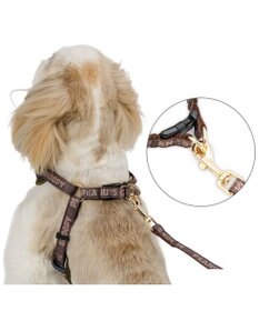 PET PARADISE スヌーピー ハーネス＆リード 《ワッペン柄》 ４Ｓ 小型犬
