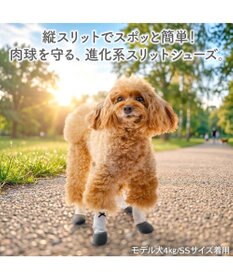 PET PARADISE ペットパラダイス バレエ スリット シューズ  Ｓ
