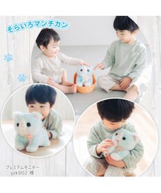 Mother garden  マザーガーデン さわってねこちゃん＆バスケット