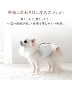 PET PARADISE ペットパラダイス サーモキープ ベスト 《マーガレット》 超小型犬 小型犬