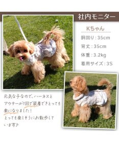 PET PARADISE Lee アウターハーネス 《牛柄》 小型犬