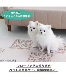 PET PARADISE スヌーピー マルチケアマット（30×30cm）8枚入り
