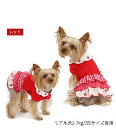 PET PARADISE ペットパラダイス 苺刺繍 ワンピース  スカラップカラー 《レッド》 小型犬