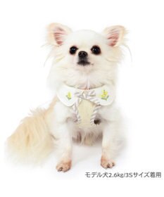 PET PARADISE ペットパラダイス  ベストハーネス ミモザ【４Ｓ】 【３Ｓ】  超小型犬 小型犬