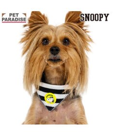 PET PARADISE スヌーピー ＪOE COOL 反射首輪 リーバシブル仕様 ＳＳ