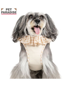 PET PARADISE ペットパラダイス くまちゃん ピエロ襟ベストハーネス Ｓ