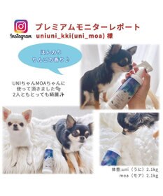 PET PARADISE 犬 スキンケア ミスト ミネラルミューズ 200mL