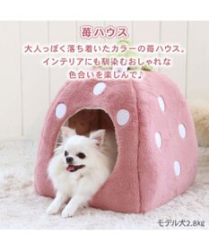 PET PARADISE ペットパラダイス くすみ苺 ハウス M (38×38×40cm) 超小型犬