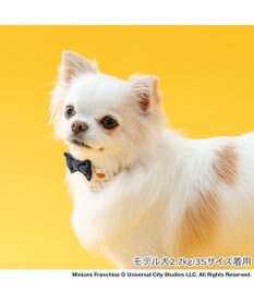 PET PARADISE ミニオン 首輪 《チェック柄》 Ｓ