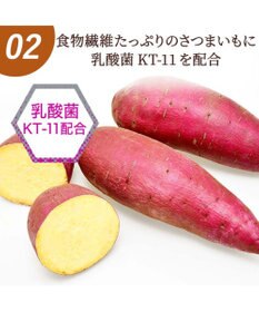 PET PARADISE デンタルガム さつまいも 100g 国産