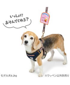 PET PARADISE スヌーピー メッセージ ワッペン  《フレンドリー》