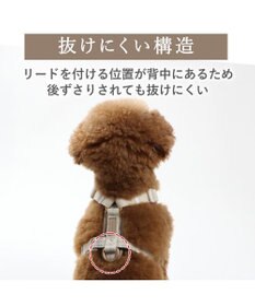 PET PARADISE ペットパラダイス くまちゃん アクティブハーネス Ｓ 小型犬