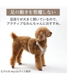 PET PARADISE ペットパラダイス くまちゃん アクティブハーネス Ｓ 小型犬