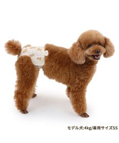 PET PARADISE ペットパラダイス サニタリーパンツ 《くまちゃん柄》 小型犬