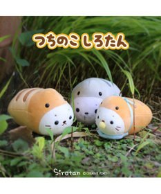 Mother garden つちのこ しろたん マスコット 《少年 / ベビー / ご先祖》 単品