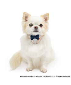PET PARADISE ミニオン 首輪 《チェック柄》 Ｓ