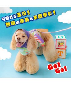 PET PARADISE ディズニー トイ・ストーリー バズ リード ＳＭ