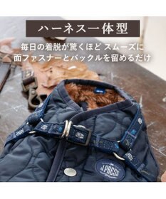 PET PARADISE J.PRESS  アウターハーネス オニオンシームステッチ 《ネイビー》 小型犬