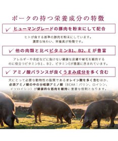 PET PARADISE ペットパラダイス 国産 ドッグフード フローラ 1kg