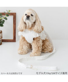 PET PARADISE ペットパラダイス レースフリル リード ＳＭ