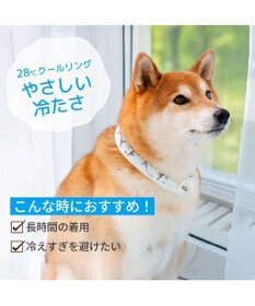 PET PARADISE ペットパラダイス ２８℃ クールリング ＳＭ 《サメ柄》