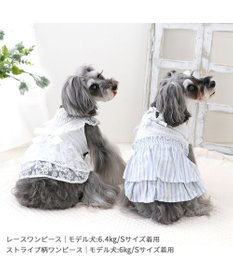 PET PARADISE ペットパラダイス レースワンピース 小型犬