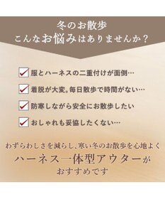 PET PARADISE J.PRESS  アウターハーネス オニオンシームステッチ 《ネイビー》 小型犬