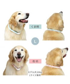 PET PARADISE ペットパラダイス 28℃クールリング SUO 《くま柄》 〔Ｌ〕 大型犬