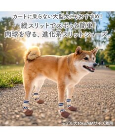 PET PARADISE ペットパラダイス スポーティー シューズ ＳＭ