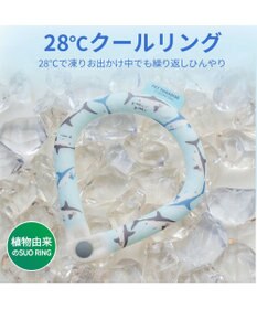 PET PARADISE ペットパラダイス ２８℃ クールリング ＳＭ 《サメ柄》