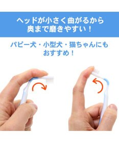 PET PARADISE 【ネット店限定】ペット用品  曲がる 歯ブラシ ２本セット  全犬種対応