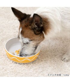 PET PARADISE スヌーピー 75周年 メラミンえさ皿
