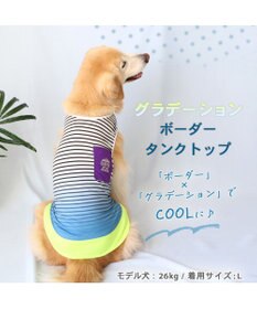 PET PARADISE 犬の服 夏 ひんやり クール メッシュ 接触冷感 虫よけ  グラデーション タンクトップ 【中型犬】【大型犬】クールマックスエコメイド