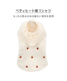 PET PARADISE ペットパラダイス ペティヒートDAN Tシャツ 《いちご柄》 中型犬 大型犬