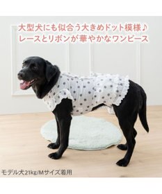 PET PARADISE ペットパラダイス 背中開き フリル ワンピース 《ドット柄》 中型犬 大型犬