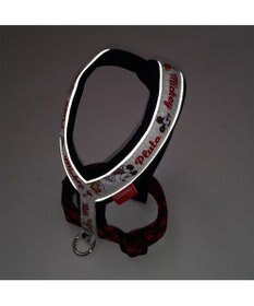 PET PARADISE ディズニー アクティブハーネス 【ＳＳ】 小型犬