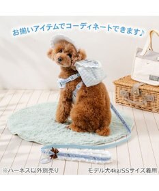 PET PARADISE ディズニー アリス リュックハーネス ＳＳ