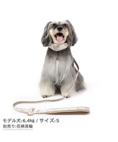 PET PARADISE 花柄 リード【４Ｓ~３Ｓ】 小型犬