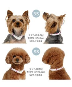 PET PARADISE ペットパラダイス 28℃クールリング 《いちご》 ３Ｓ 小型犬