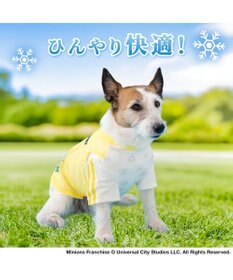 PET PARADISE ミニオン クールＴシャツ 《スポーツ柄》 小型犬