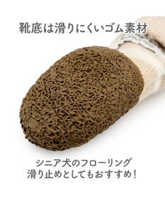 PET PARADISE ペットパラダイス くまちゃん スリットシューズ Ｌ
